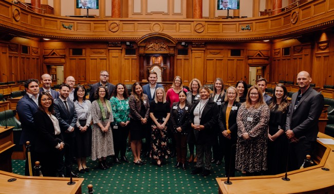 Attendees at Parliament house